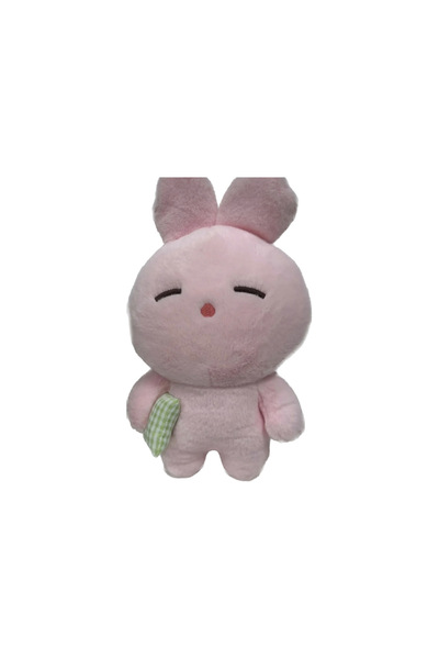 Generic Brand Play in the Shape of a Rabbit