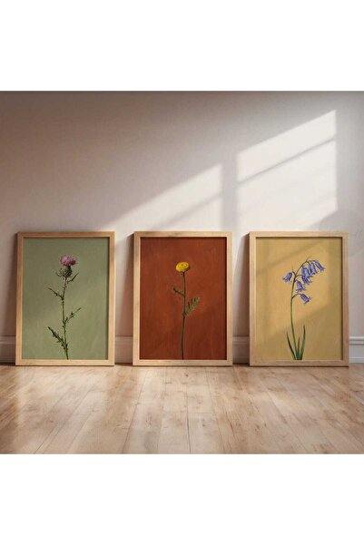 woodhomeworks 3 Piece Painting with Wooden Frame Qmrc
