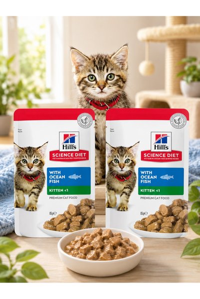 Hill's Wet Food for Kittens - Ocean Fish in Gravy for Cats under 1 Year - Sup...