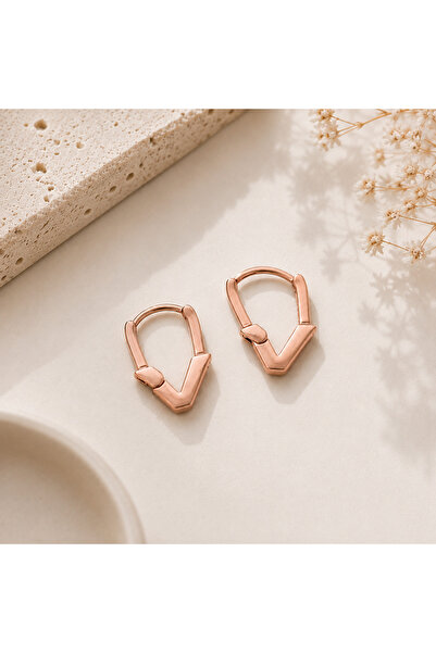 Archhazel Jewelery Rose Geometric Steel Earrings
