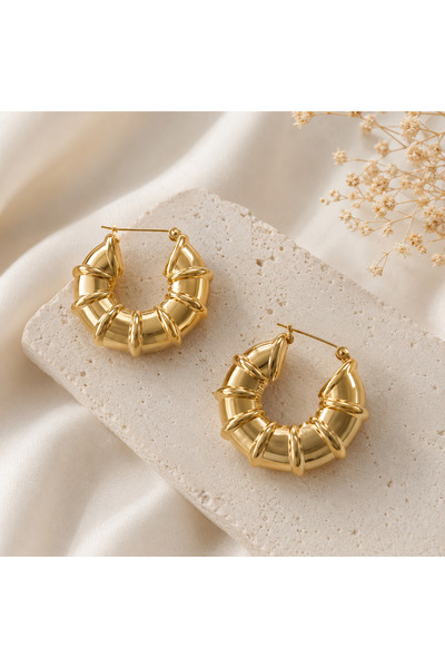 Archhazel Jewelery Gold Steel Thick Hoop Earrings