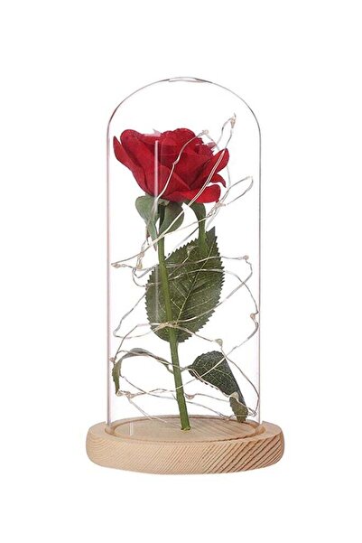 Generic Luminous Led Rose Glass Multicolour