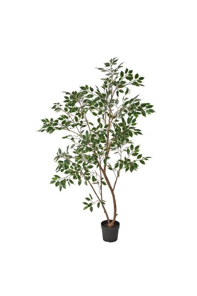 OEM Plantă artificială 23 cm interior/exterior/Ficus Benjamina FEJKA Plante a...