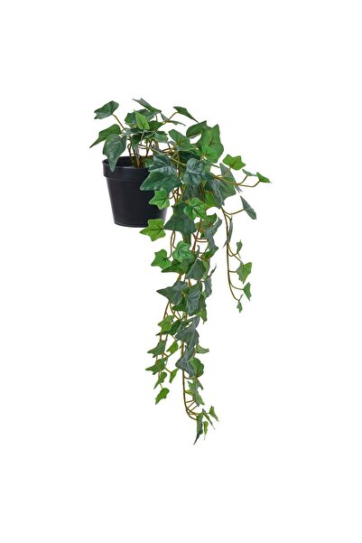 OEM Plantă artificială 12 cm interior/exterior/suspendată Iederă FEJKA Plante...