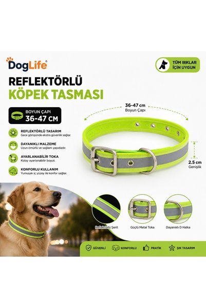 Doglife Dog Life Reflektörlü Köpek Boyun Tasması 36-47 cm 2,5 cm Geniş Metal ...