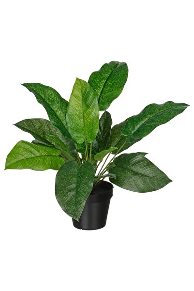 OEM Plantă artificială 12 cm interior/exterior Calathea FEJKA Plante de birou...