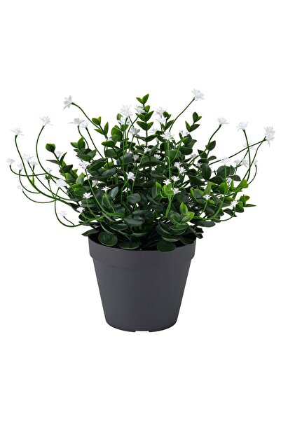 OEM Plantă artificială 12 cm interior/exterior/cu flori alb FEJKA Plante de b...