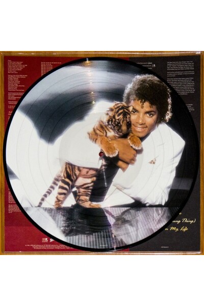 Sony Müzik Michael Jackson Thriller (Picture Disc) Plak