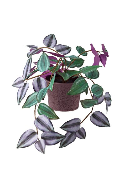 OEM Plantă artificială 10 cm hârtie/Tradesceantia SMÅTÄRNA Plante de birou ar...