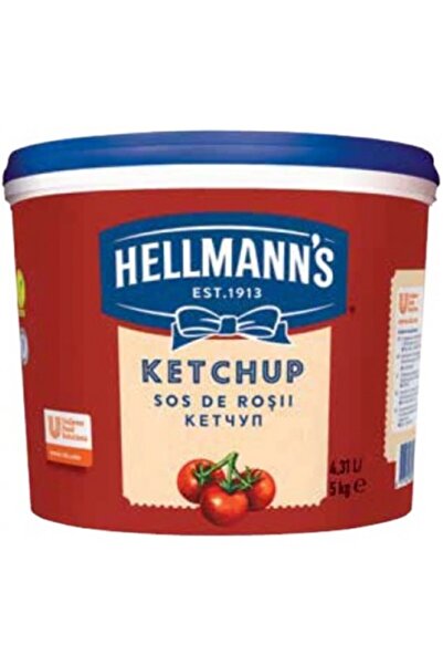 Hellmann's Ketchup