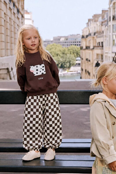 Generic Brand Cow Print Brown Set