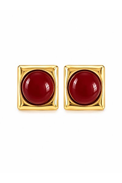 CHARMLUCKY Steel Square Earrings