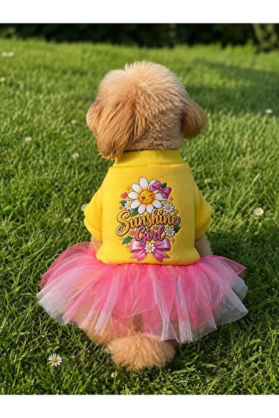 köpek tütülü elbise