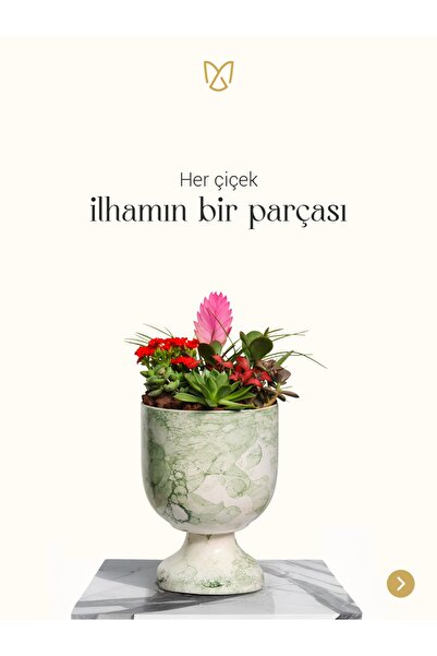 Taş Efektli Saksıda Özel Tasarım Bitki Aranjmanı