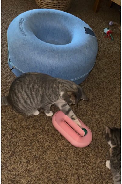 zengolab3d Cat Toy Oval Interactive Cat Play Accessory Pet Toy