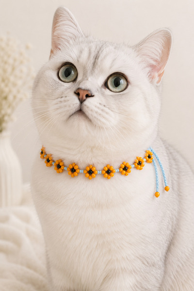 NEHOLİA Handmade Beaded Cat Neck Accessory Orange Floral Lace Decorative Cat ...