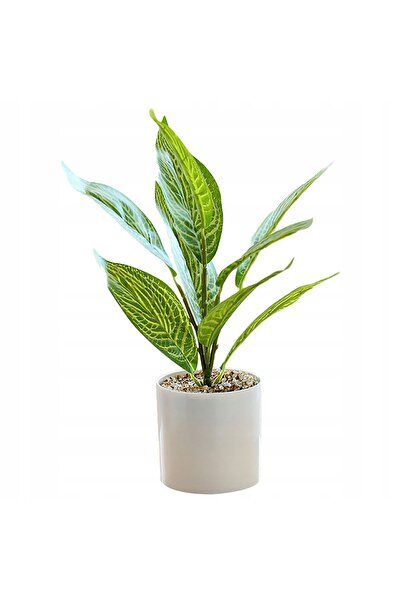 ITIMPORT PLANTĂ ARTIFICIALĂ ÎN GhiveCI REALISTĂ 34cm BOSCH DECORATIV Bonsai