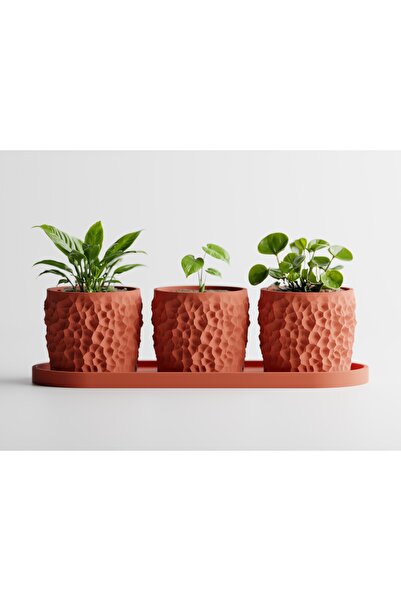 LayerCrew Set 3 ghivece cu tavă Piccola 7 cm 7.8 cm 22.1 cm Muted Red