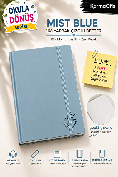 KarmaOfis Mist Blue – Light Blue / Ladybug Patterned |   168 Sheets Lined Ela...