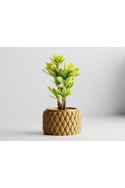 LayerCrew Ghiveci decorativ Tilani 10.5 cm 6.1 cm 10.5 cm Gold