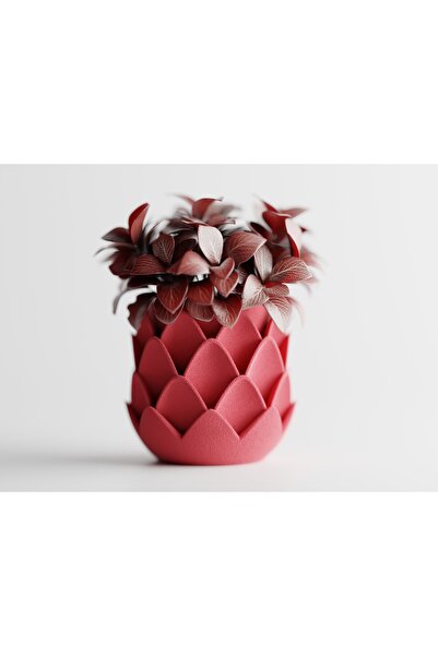 LayerCrew Ghiveci decorativ Phyllara 11.5 cm 12.5 cm 12.5 cm Pink
