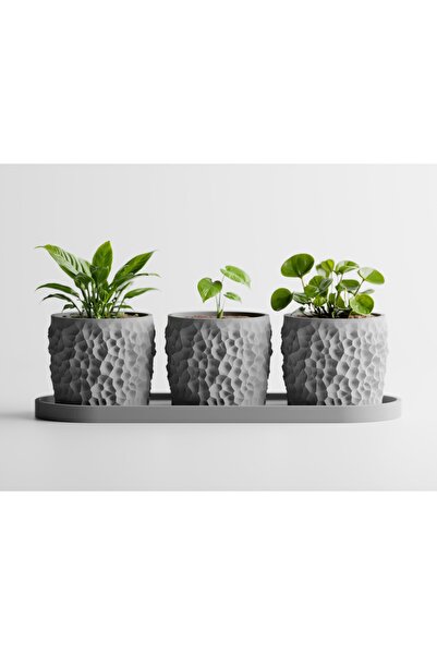 LayerCrew Set 3 ghivece cu tavă Piccola 7 cm 7.8 cm 22.1 cm Ash Gray