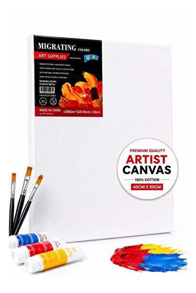 Generic Premium Artist Canvas 40 × 50 cm, 100% Cotton, 280 GSM Medium Grain, ...