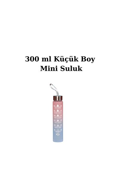 FunFlex MİNİ BOY 300 ml Matara Suluk Pipetli Suluk Renkli Suluk Küçük Suluk M...