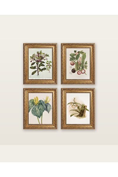 1 Kowhiwhi Pittosporum Botanik Cicek Poster Seti 4'lu