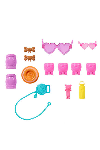 Barbie Pets Paten Macerası Bebek ve Sevimli Köpek Oyun Seti JMJ44