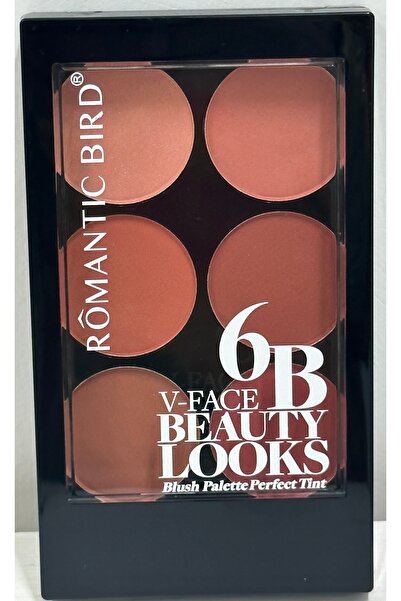 Generic Brand Palette of Blush Colors