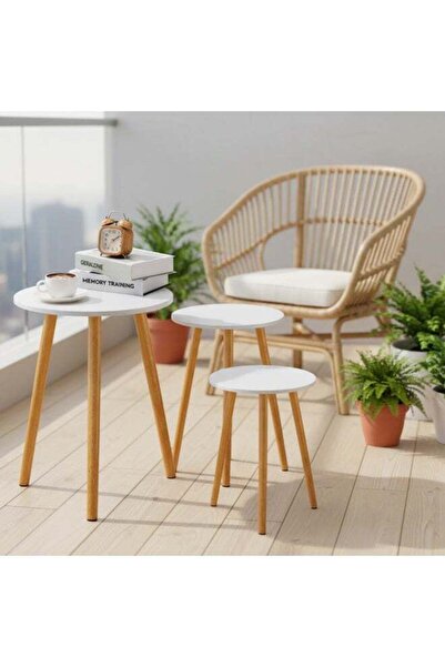 DubaiGallery Elegant Set of 3 Round Nesting Coffee Tables with White Marble-E...