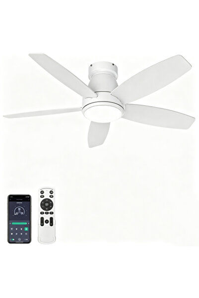 Snooe Ceiling Fans with Lights Black Ceiling Fan with Light and Remote Contro...