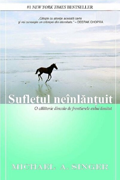 Adevar Divin Sufletul neinlantuit - Michael A. Singer