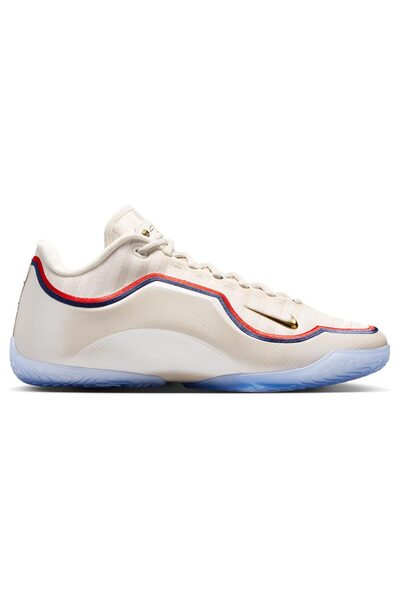 Nike ΛεΜπρόν ΙΧΧΙΧ 45