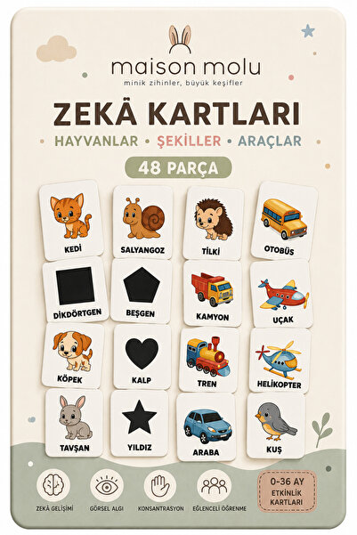 MAİSON MOLU – Minik Kaşifler I Eşleştirme Kartları I Oyun Kartları