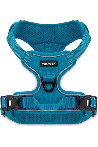 Best Pet Supplies Voyager Double Buckle Anti-Pull Dog Harness, Adjustable, So...