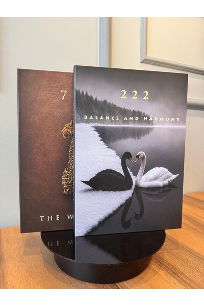 Generic Brand 222 & 777 Manifest Decorative Book Box Set – Balance and Harmony / the Winner – Set of 2