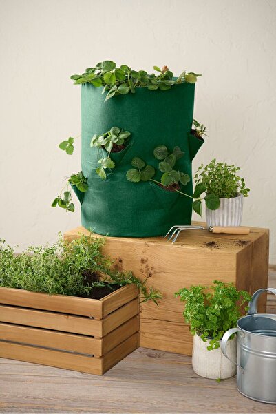 Tchibo Strawberry Planting Bag, Green