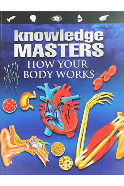 Alligator Books Knowledge Masters - How Your Body Works