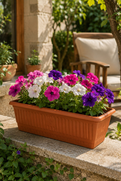 Binbirreyon 9Lt Balkon Saksı Kahverengi Tabaklı Saksı 17x18x51cm Dikdörtgen A...