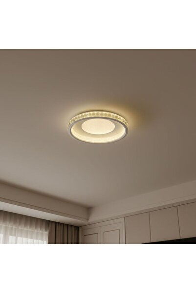 Danube Home Iris LED Celing Light-white Silver, Acrylic, Crystal, L 57 x W 57...
