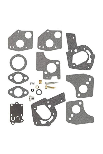 Morvena Picks Kit de reparare carburator compatibil cu Briggs & Stratton 4946...
