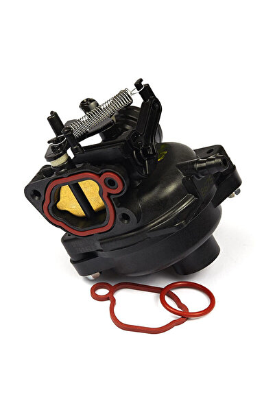 Morvena Picks Carburator de gradina compatibil cu Briggs&Stratton 799584 7986...