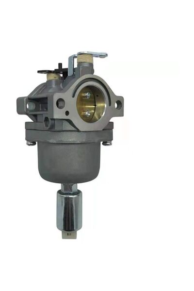 Morvena Picks Carburator pentru Briggs & Stratton - Compatibil cu 799727 6986...