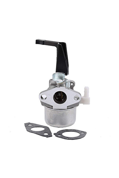 Morvena Picks Carburator cu garnitura de montare pentru Briggs & Stratton 696065