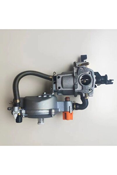 Morvena Picks Carburator dublu combustibil pentru pompa 168F - GⅩ160 - carbur...
