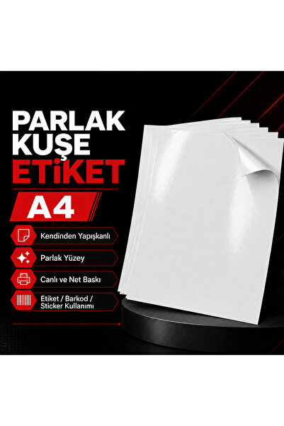SOLVELUX Glossy Art Sticker A4 25 Pieces Adcoat