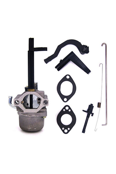 Morvena Picks Carburator Briggs&Stratton pentru masina de tuns iarba 796323 7...