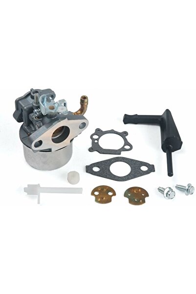 Morvena Picks Compatibil cu Carburator Carb pentru Briggs & Stratton 798653 6...